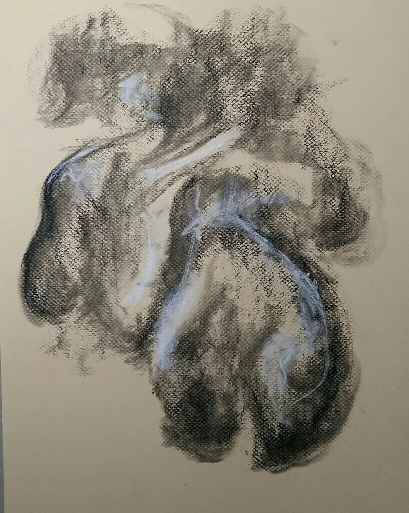 Charcoal et crayons conté sur papier pastel  2020  16 po x 12 po  80$ 