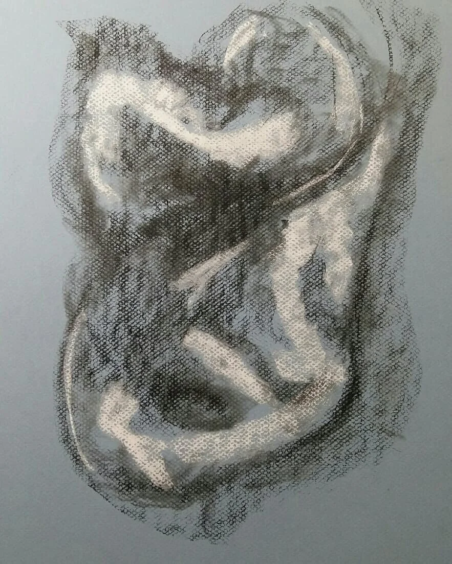  Charcoal et crayons conté sur papier pastel  16 po x 12 po  2020  80$ 