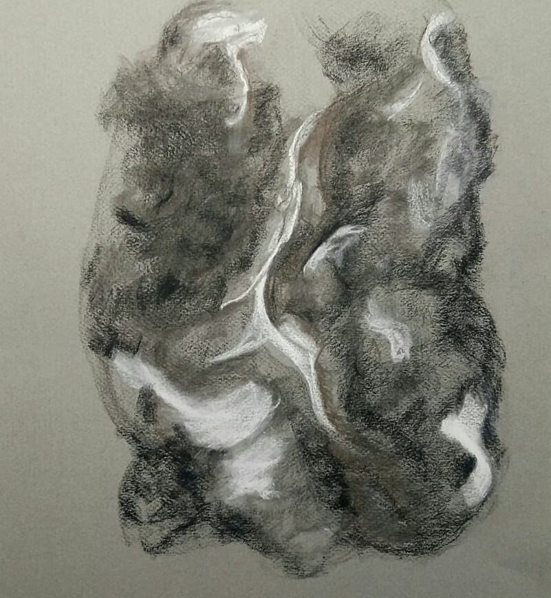  Charcoal et crayons conté sur papier pastel  16 po x 12 po  2020  80$ 
