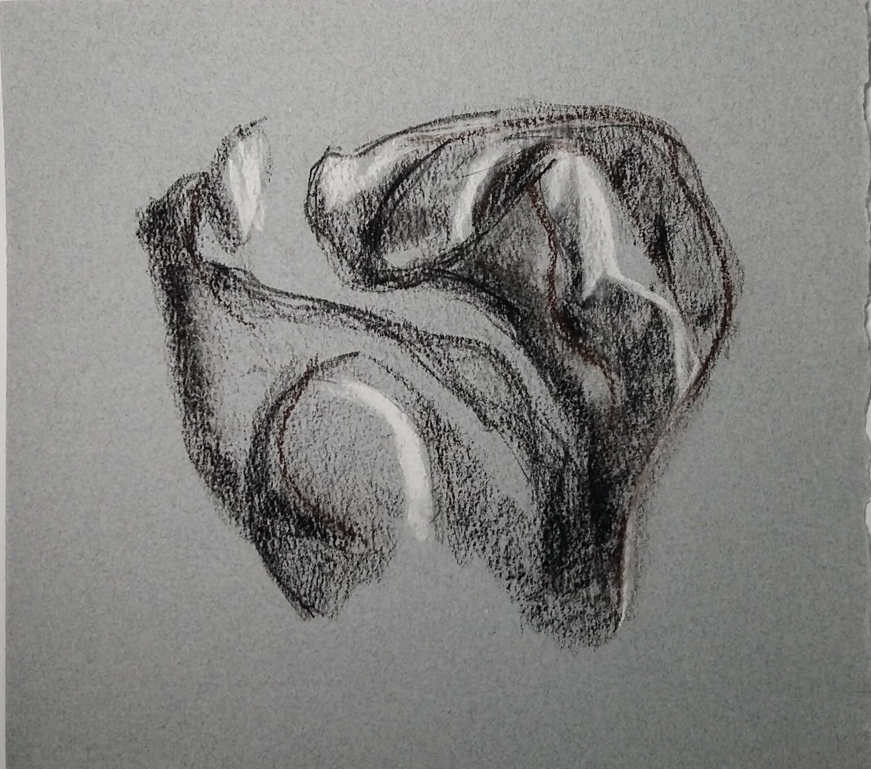  Charcoal / crayons conté sur papier St-Armand  2020  8 x 10 po  35$ 
