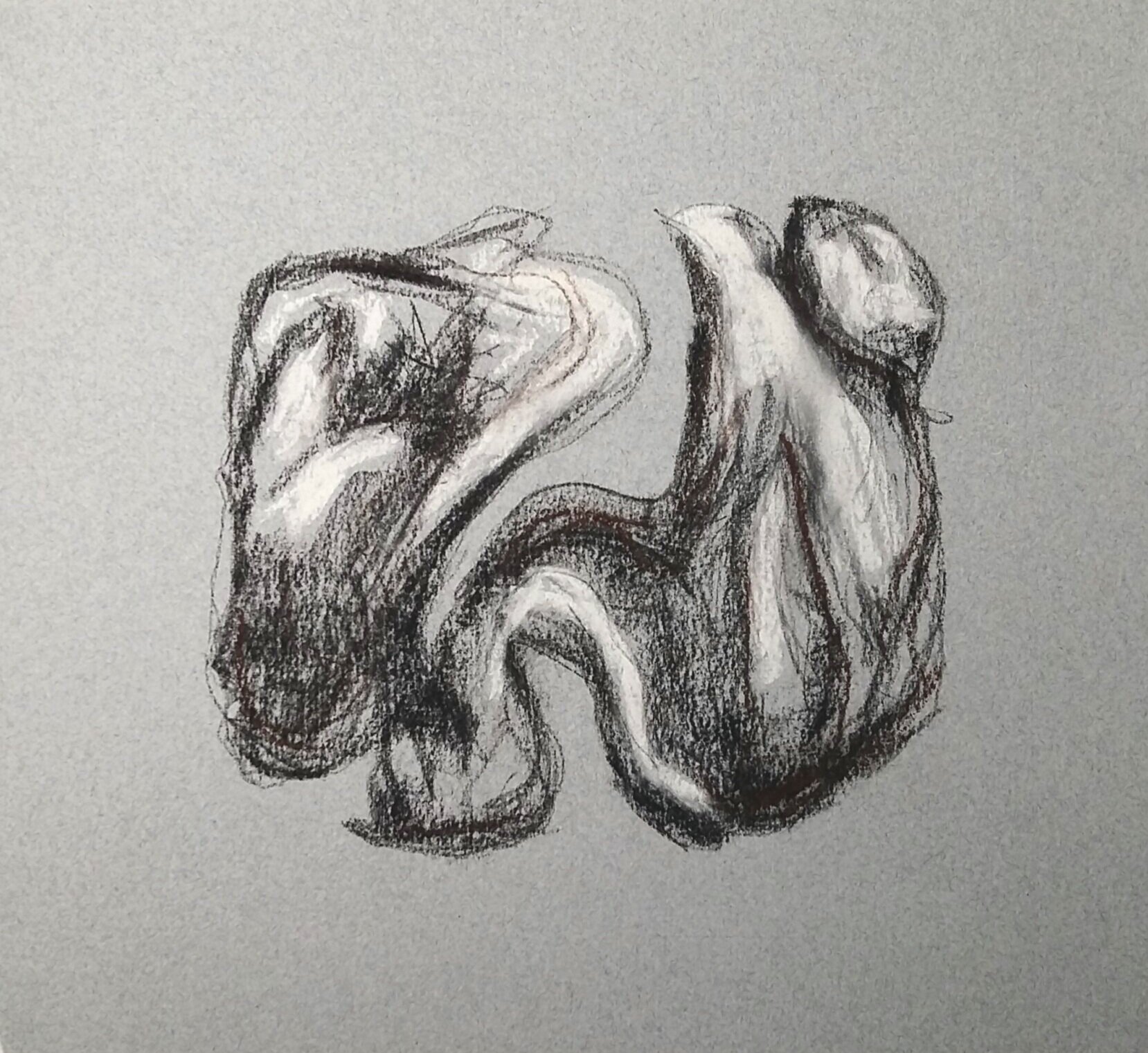  Charcoal / crayons conté sur papier St-Armand  2020  8 x 10 po  35$ 