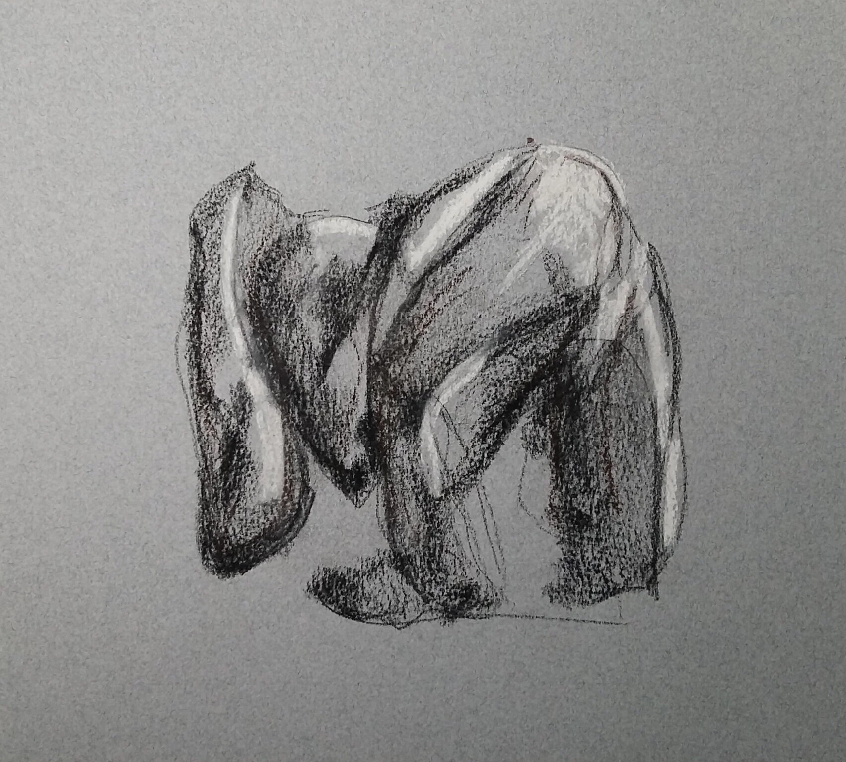  Charcoal / crayons conté sur papier St-Armand  2020  8 x 10 po  35$ 