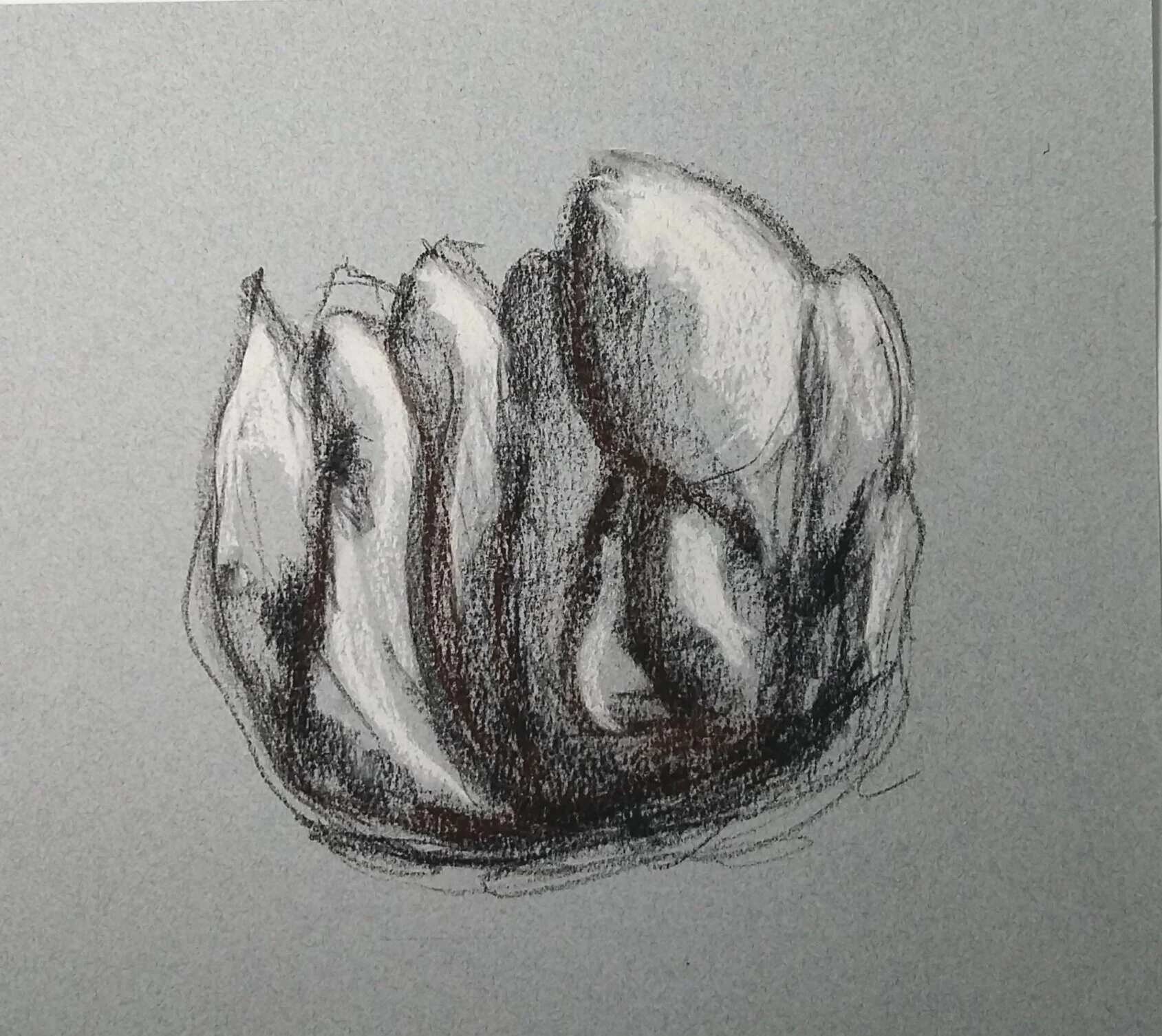  Charcoal / crayons conté sur papier St-Armand  2020  8 x 10 po  35$ 