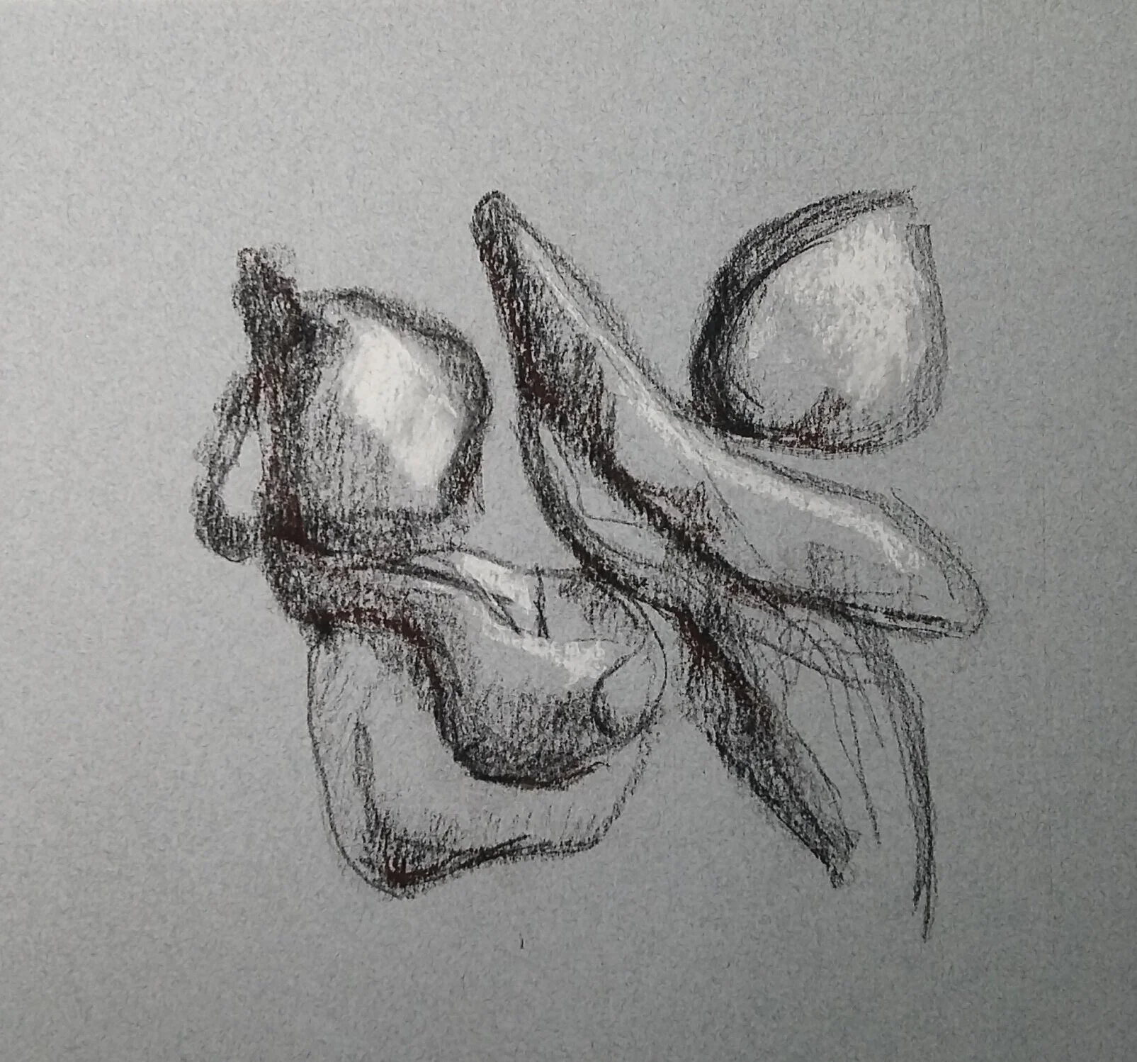  Charcoal / crayons conté sur papier St-Armand  2020  8 x 10 po  35$ 