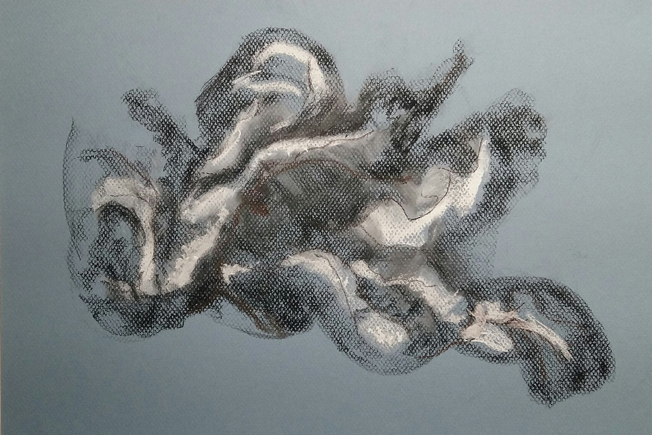  Charcoal et crayons conté sur papier pastel  2020  12 po x 16 po  80$ 