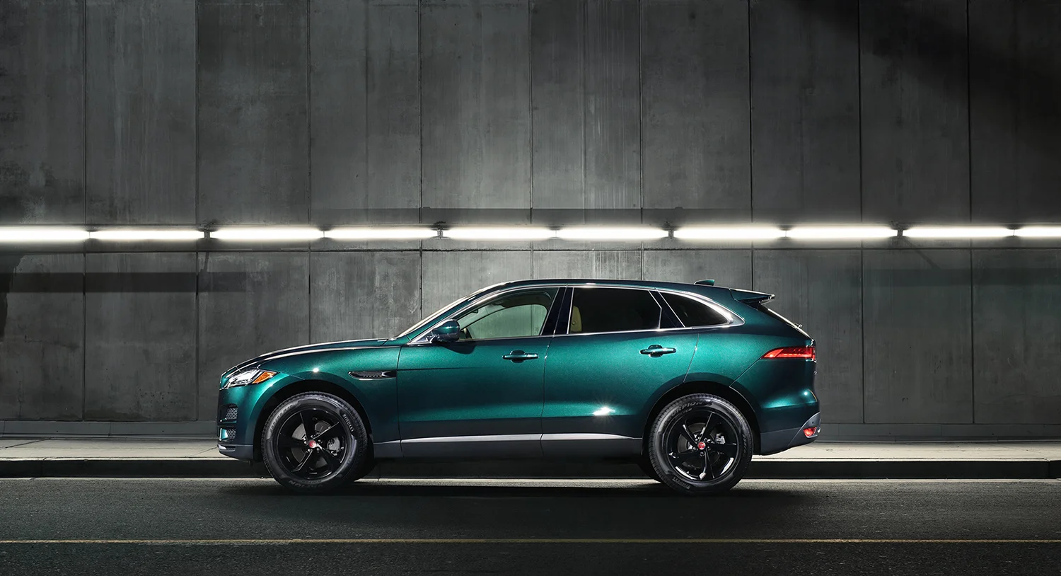 Jaguar