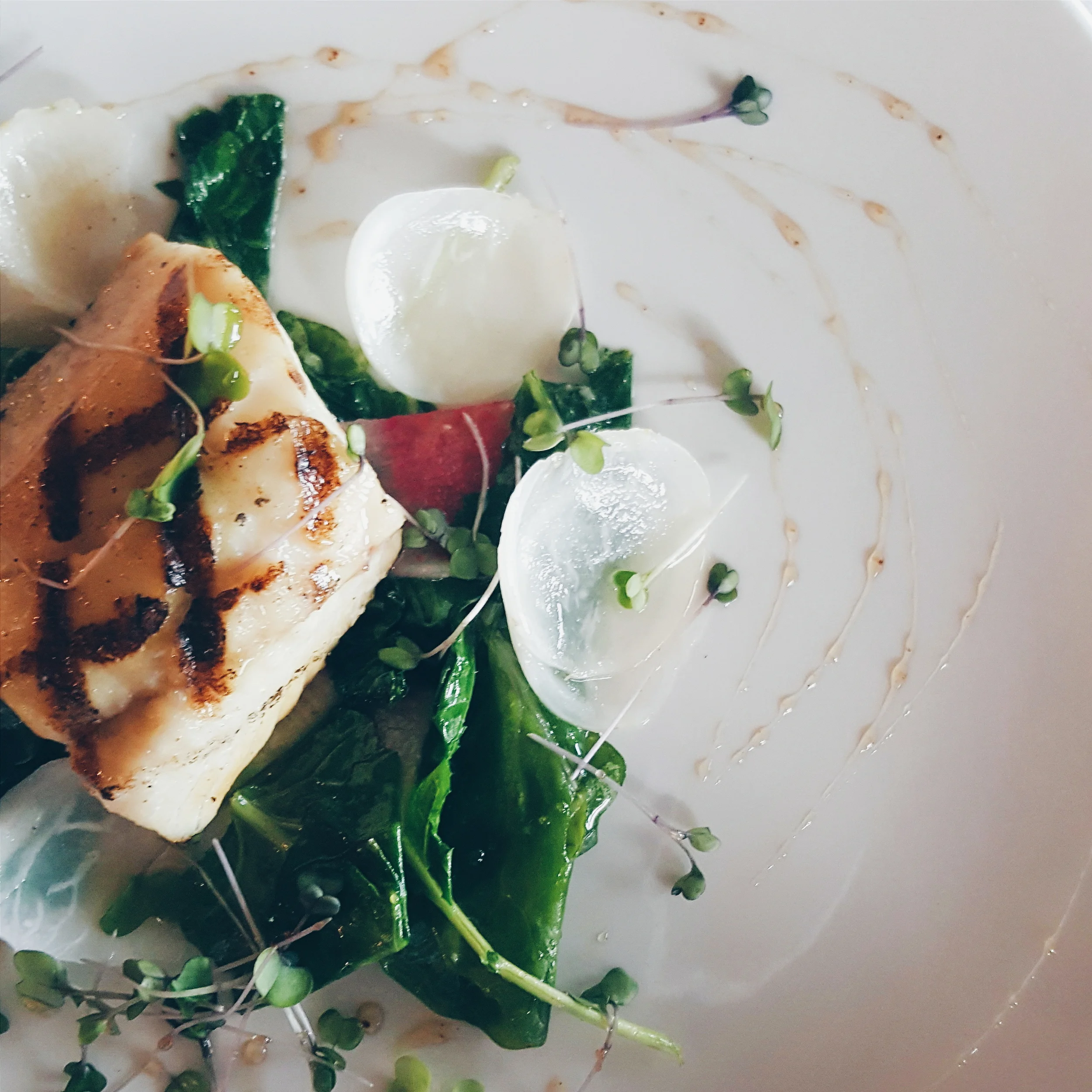 Grilled Lake Pickerel, Jarrod's Radish, Baby Kale, Tokyo Turnip, Sumac Champagne Gastrique.