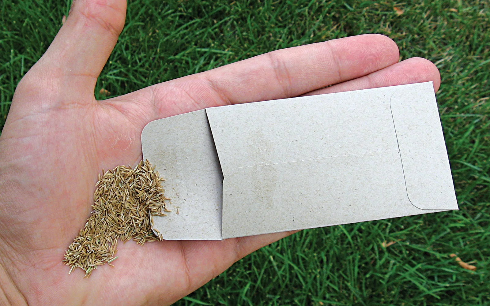 Lush_cardSeeds.jpg