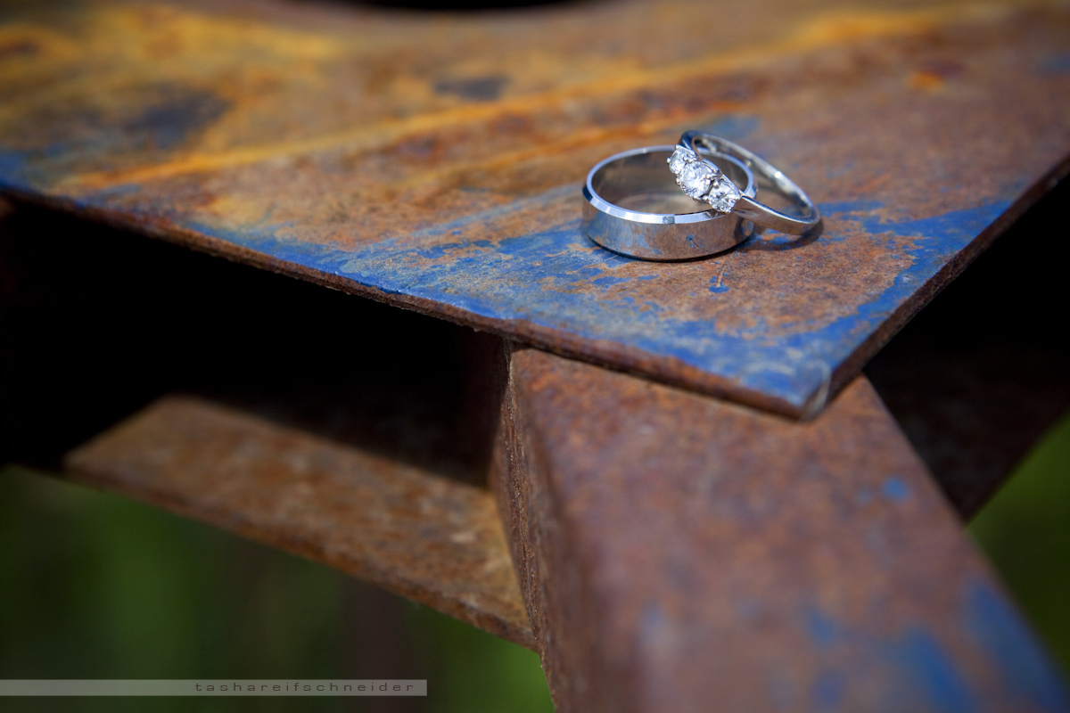 © Tasha Reifschneider 2011