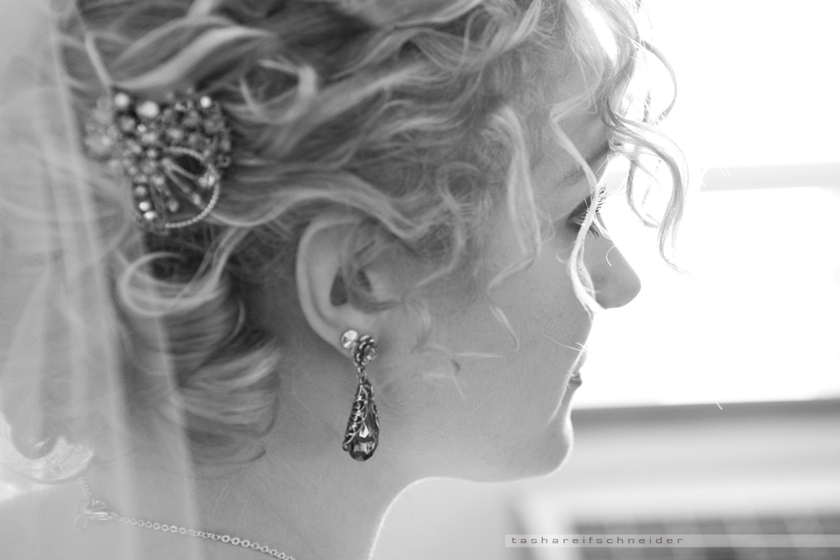 © Tasha Reifschneider 2011