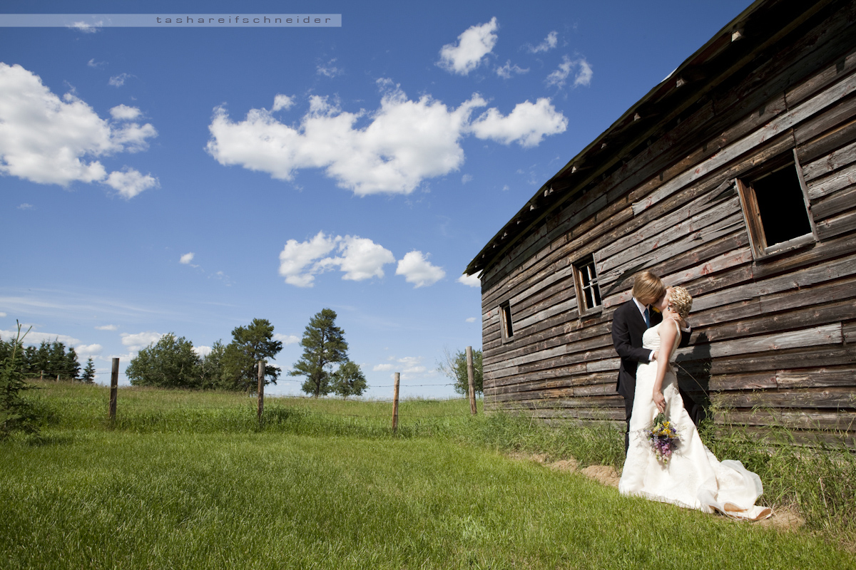 © Tasha Reifschneider 2011
