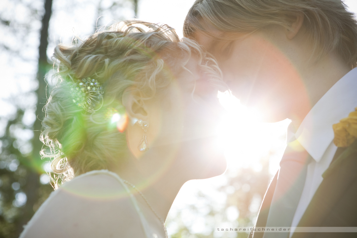 © Tasha Reifschneider 2011