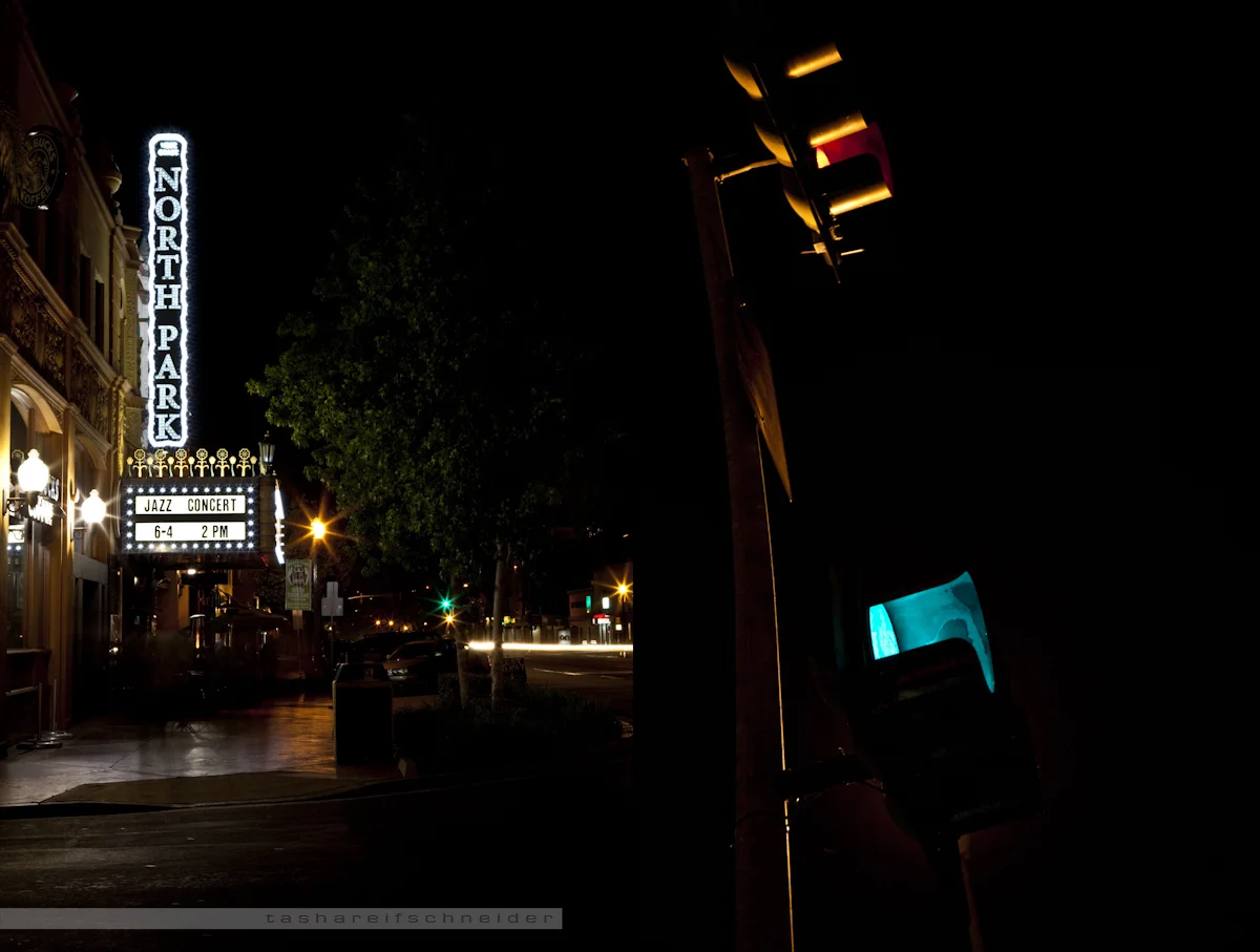 © Tasha Reifschneider 2011