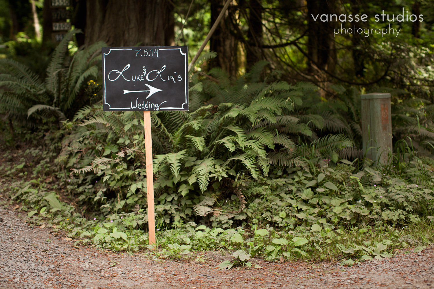 Bainbridge-Island-Wedding-Photographers_LukeLia_001.jpg