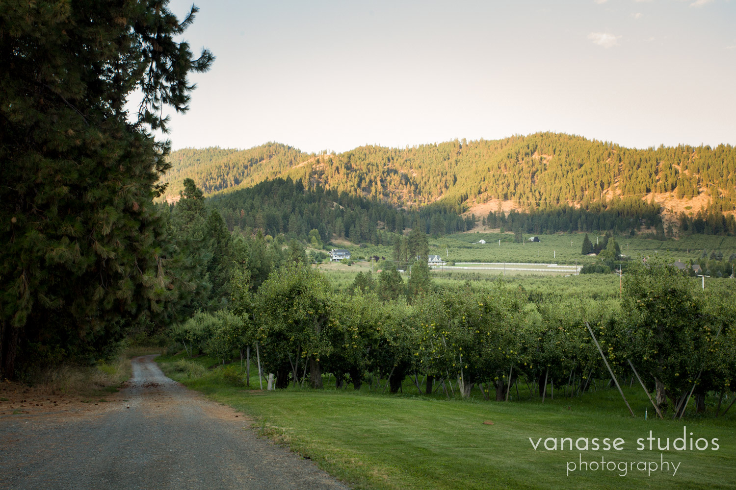 Leavenworth-Wedding-Photographers_AndreaMike_001.jpg