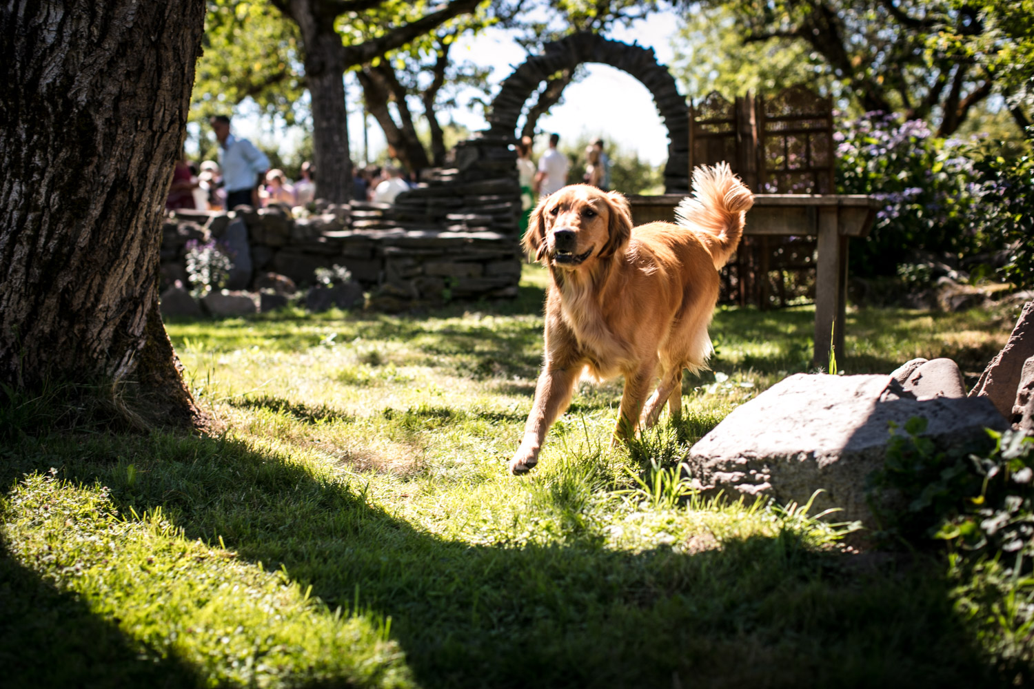 Portland-Wedding-Photographers-MadelineandTrevor_Blog_040.jpg