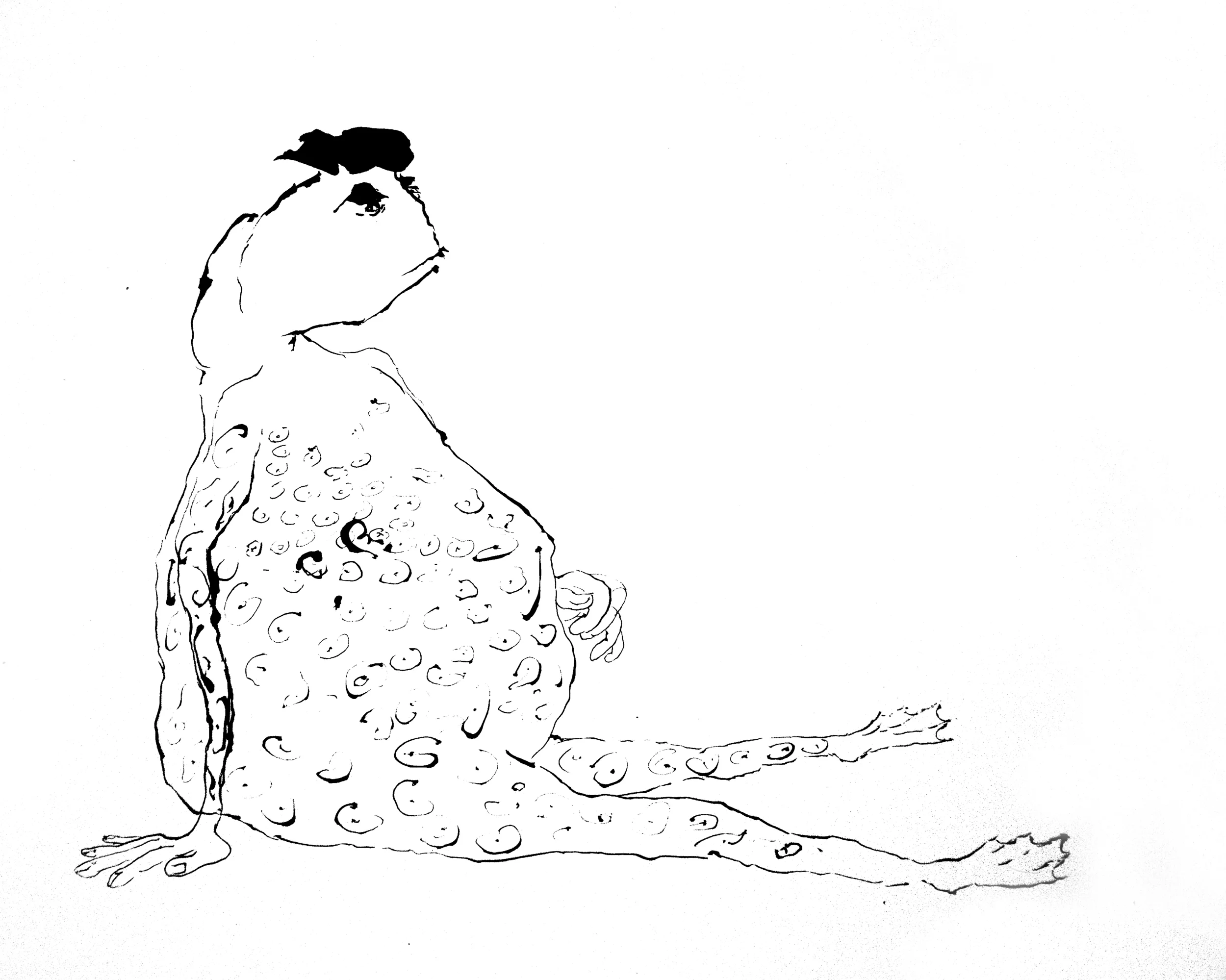 In Repose