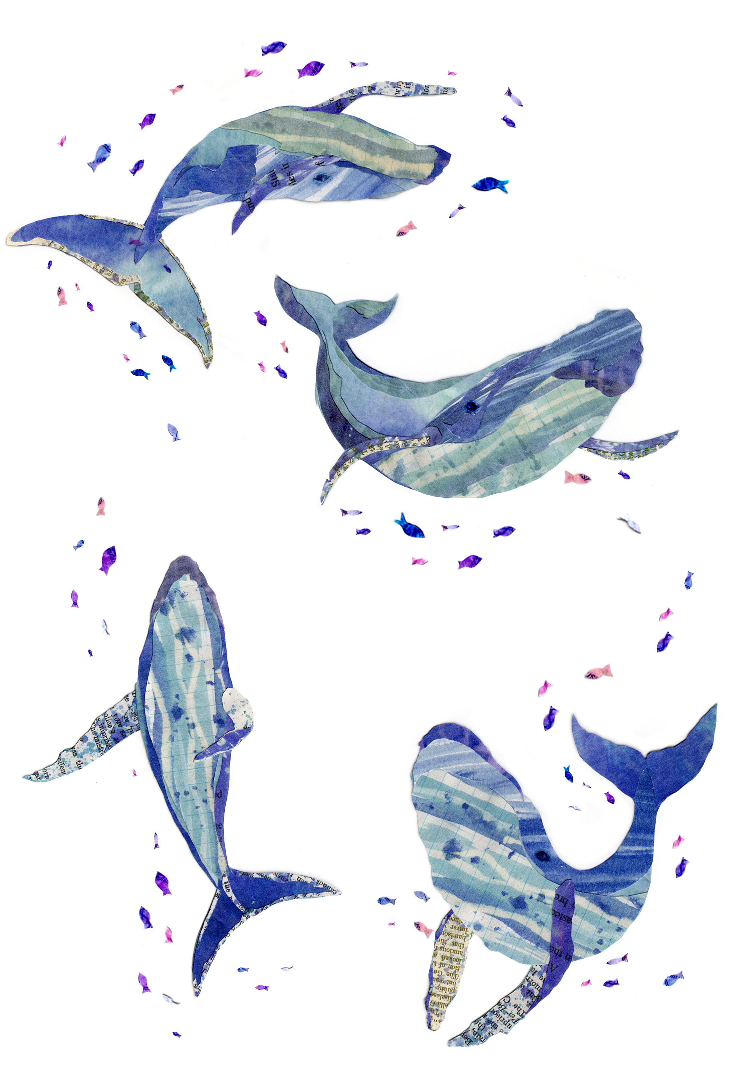 whale character sketches copy.jpg