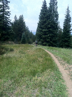 IMG_1250.jpg