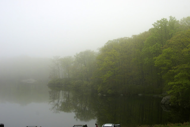 DSC02688.jpg