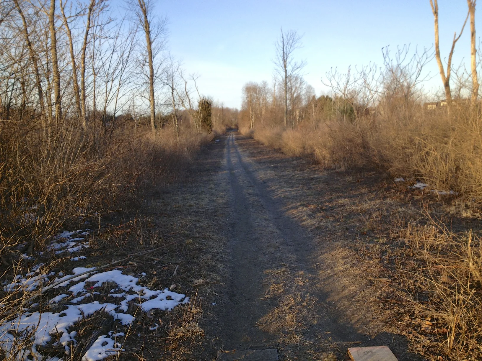 trail.jpg