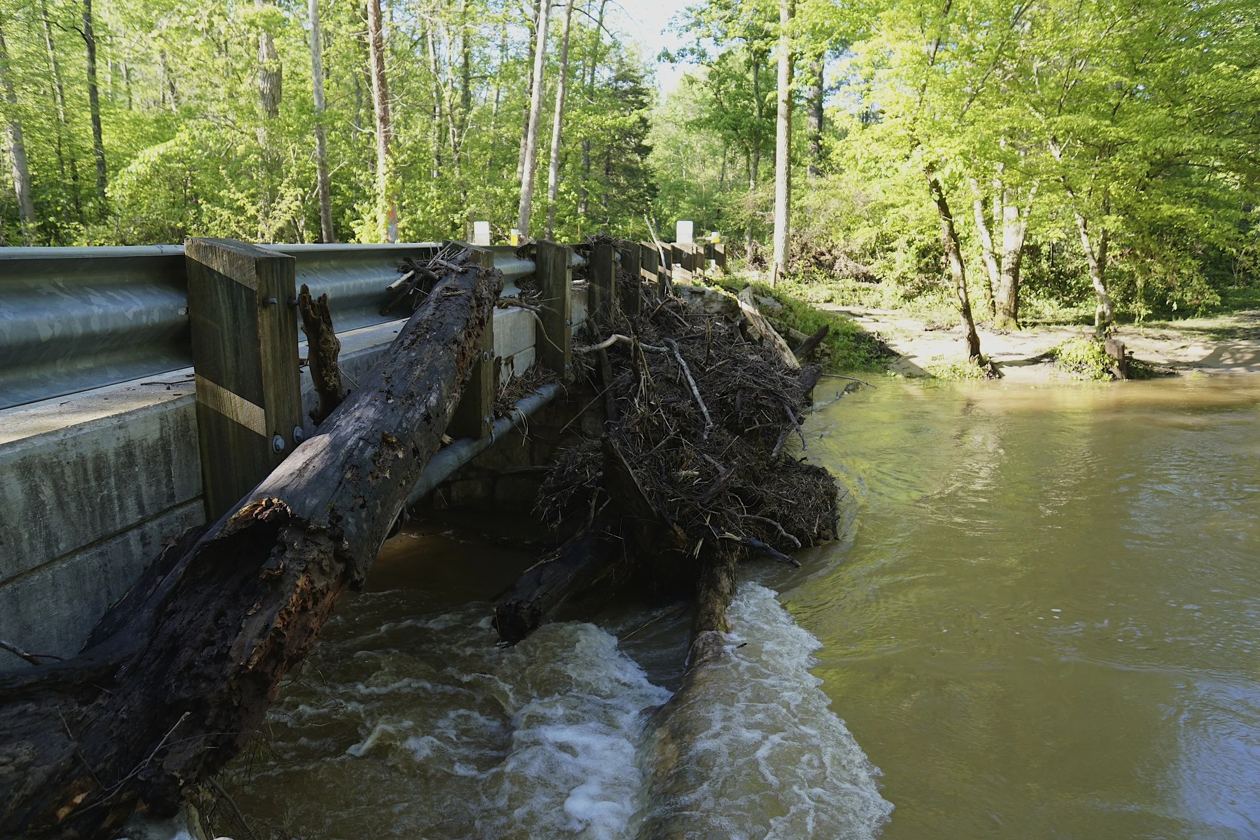 The bridge leading into Elizabeth's Furnace