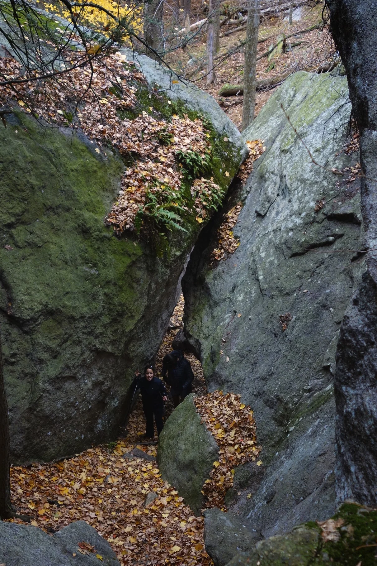 Team Hike Lead by Jules in HSP "The Lemon Squeezer & the Offseason" (21