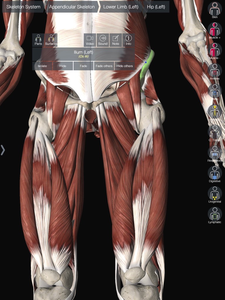 Ilium