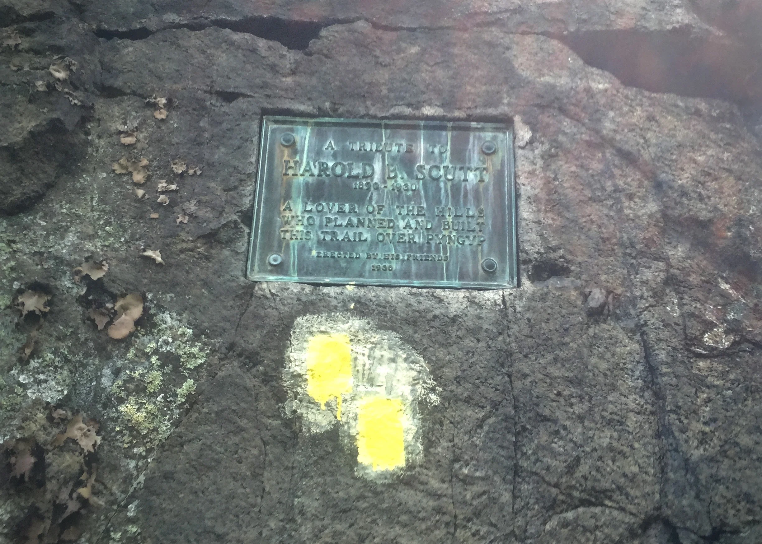 This section of trail from Gate Hill Road to Cats Elbow was scouted by Harold B. Scutt. He died on April 2nd, 1930 in a plan crash in Attica, New York. 