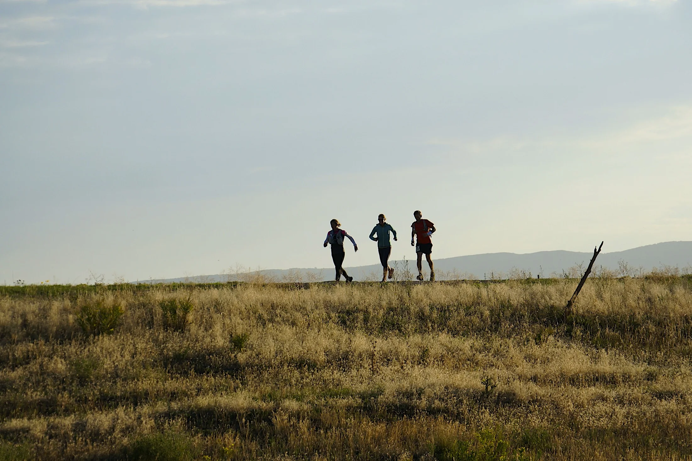 wasatch running company