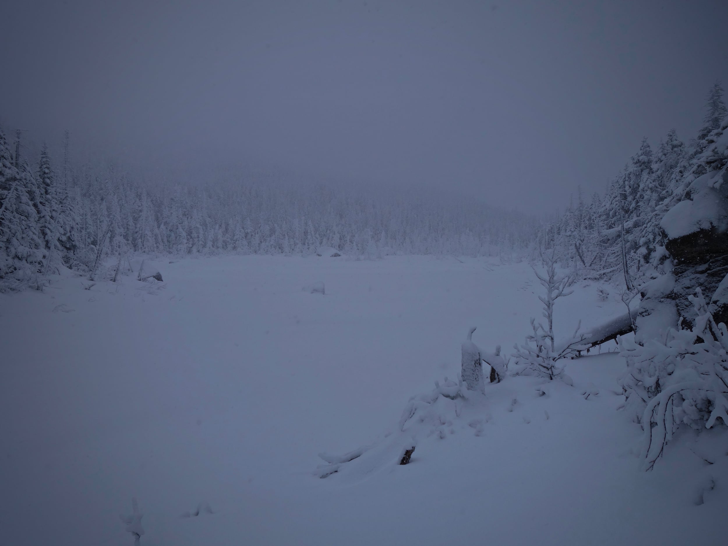 DSC05504.jpg