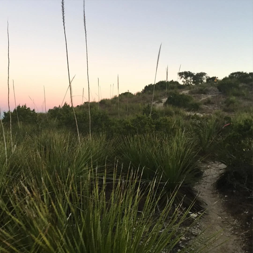 Bandera trail, where everything cuts and stings. Photo: Kali Bird