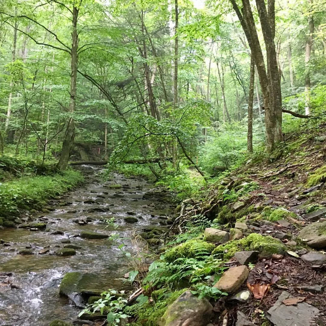 Brown's Run, mile 26 – Photo: Eastern States 100
