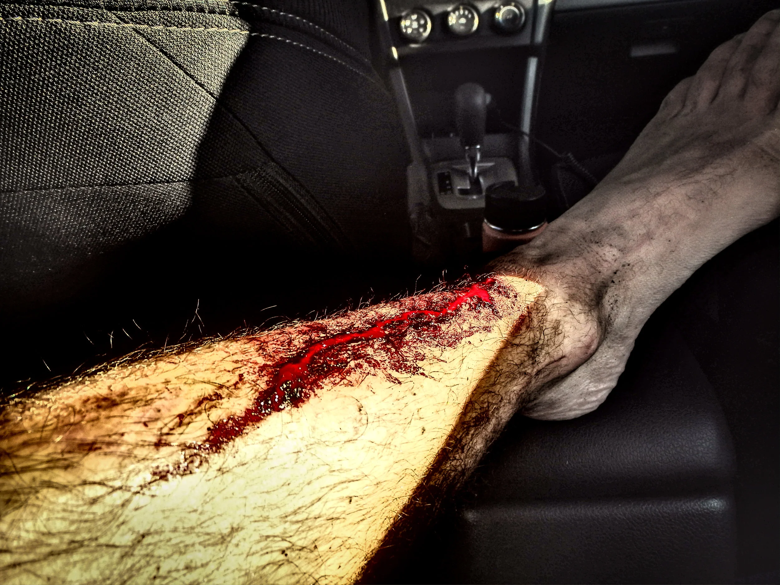 leg2.jpg