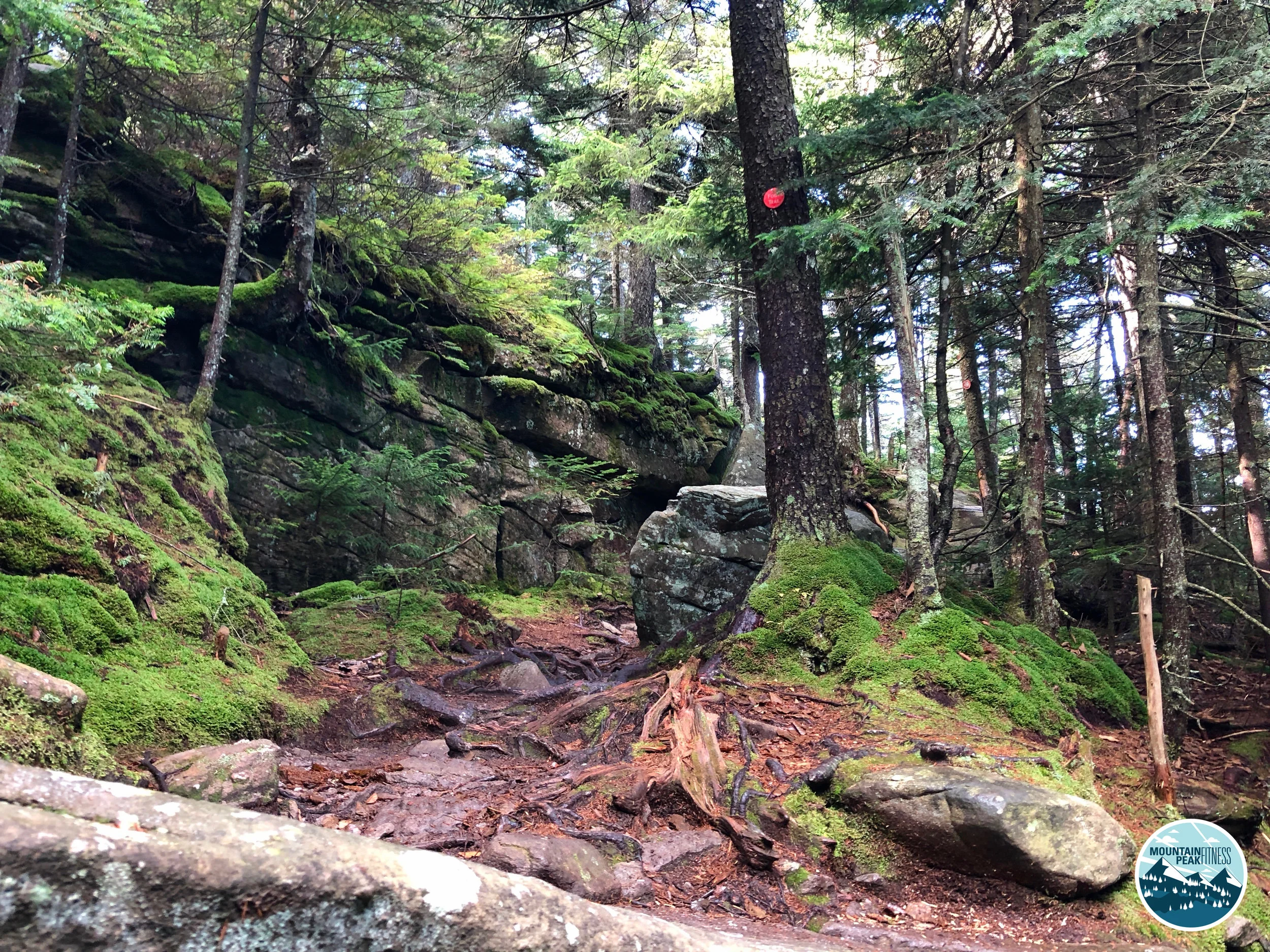 Just a nice section of trail. 