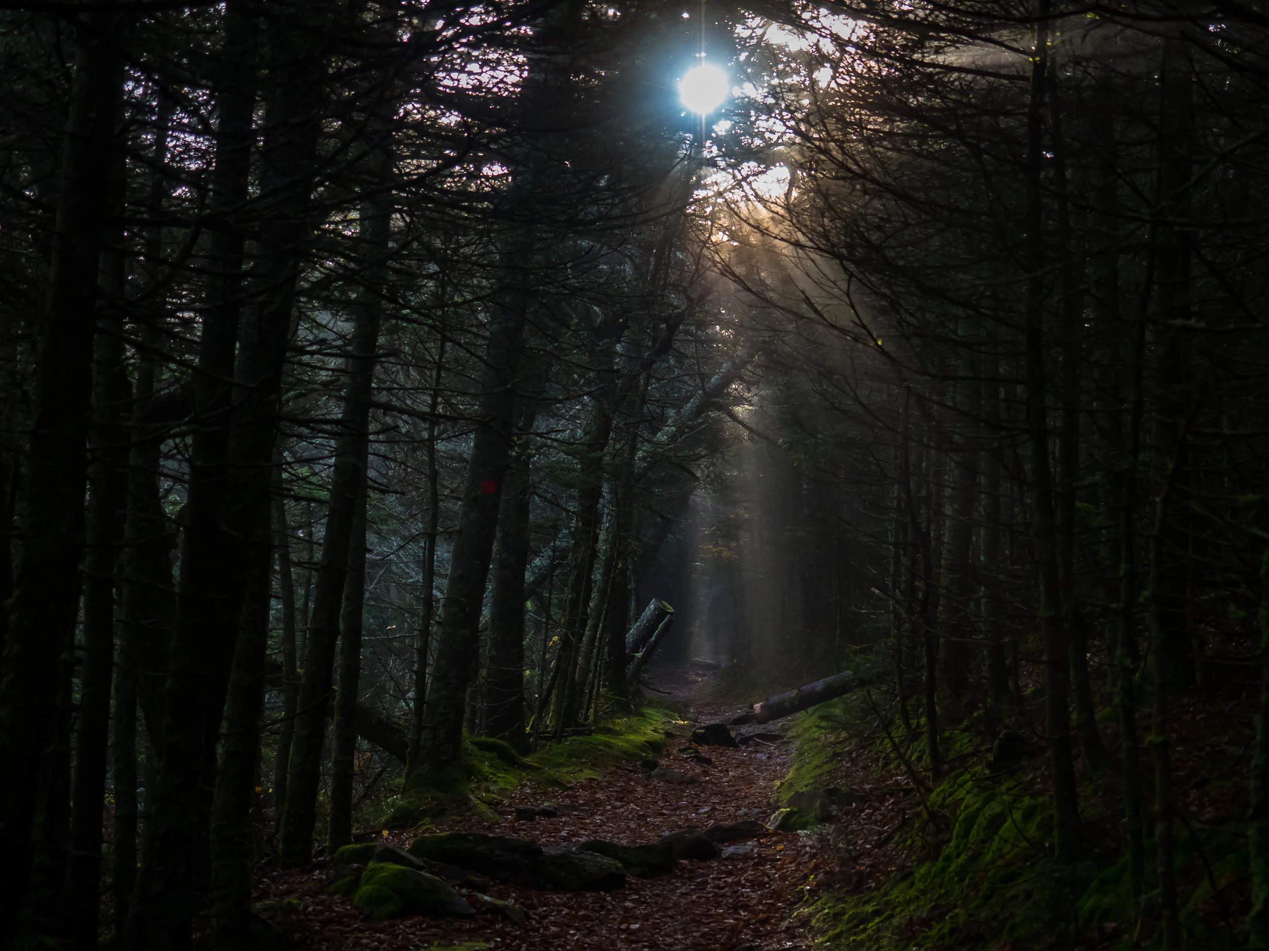 Nearing the top of Slide Mountain in the earlier morning hours – Photo: Joe Azze | MPF