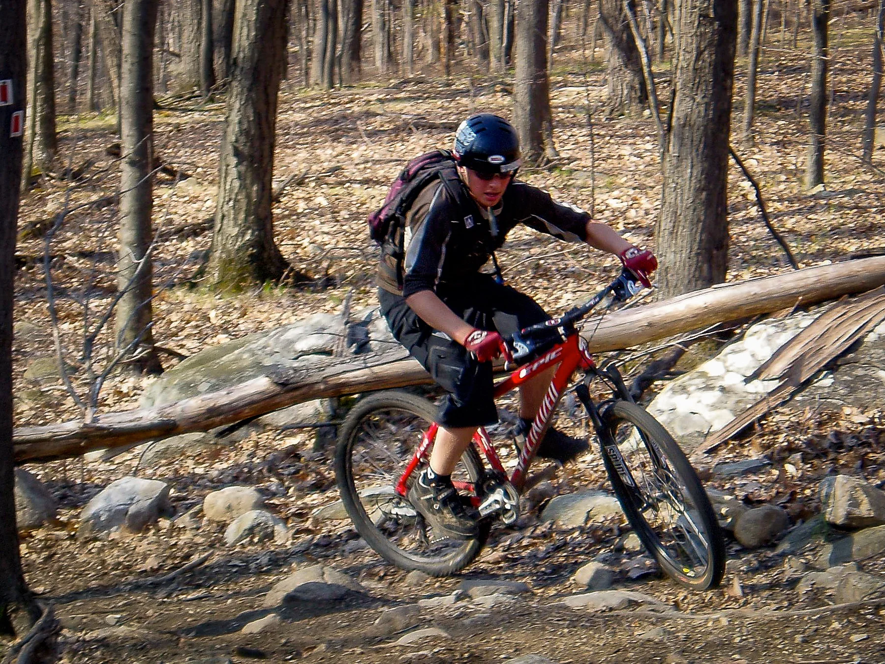 P1010395_27755.jpg