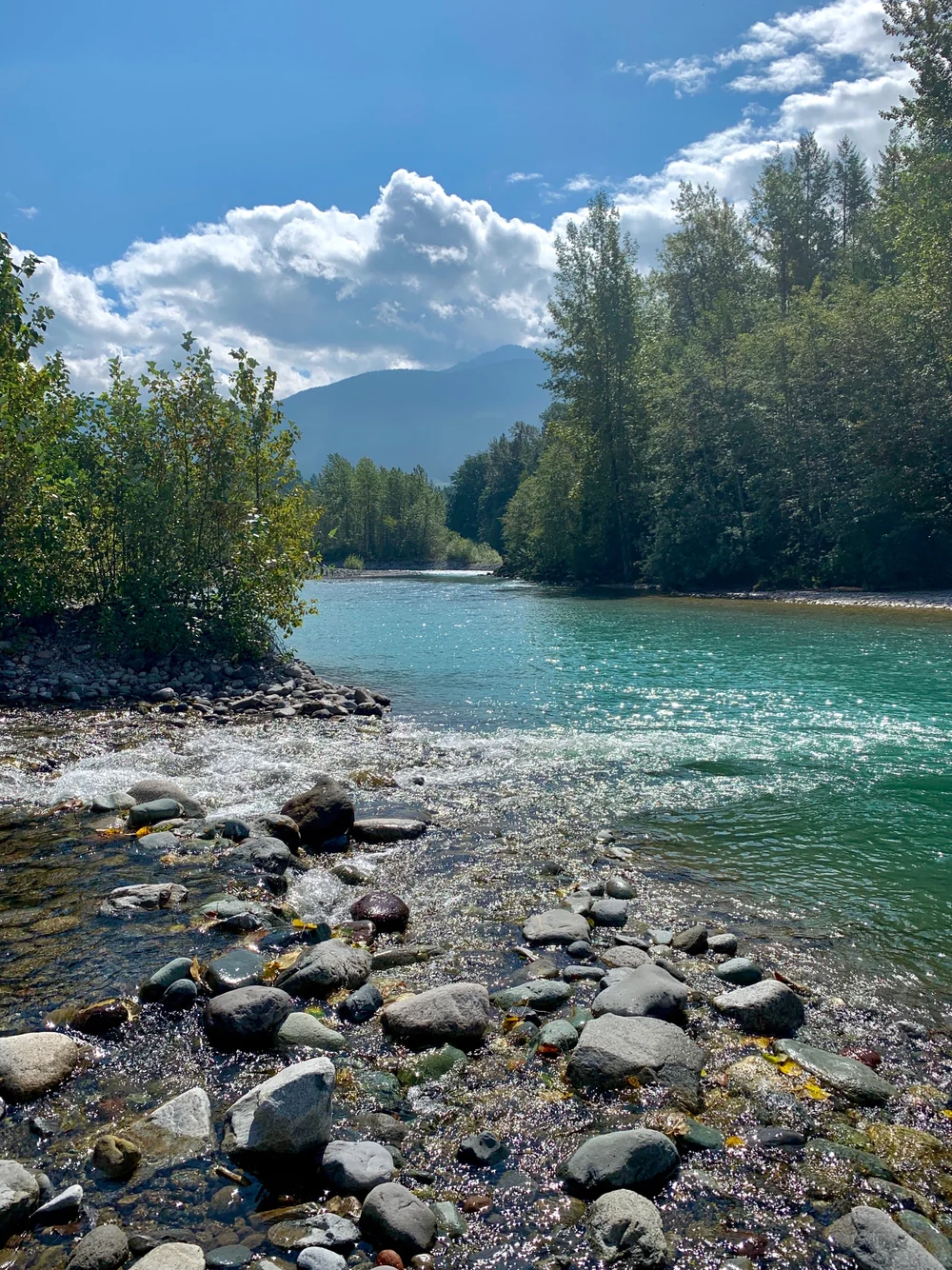 Race Report Squamish 50 by Gina Giordano — Mountain Peak Fitness