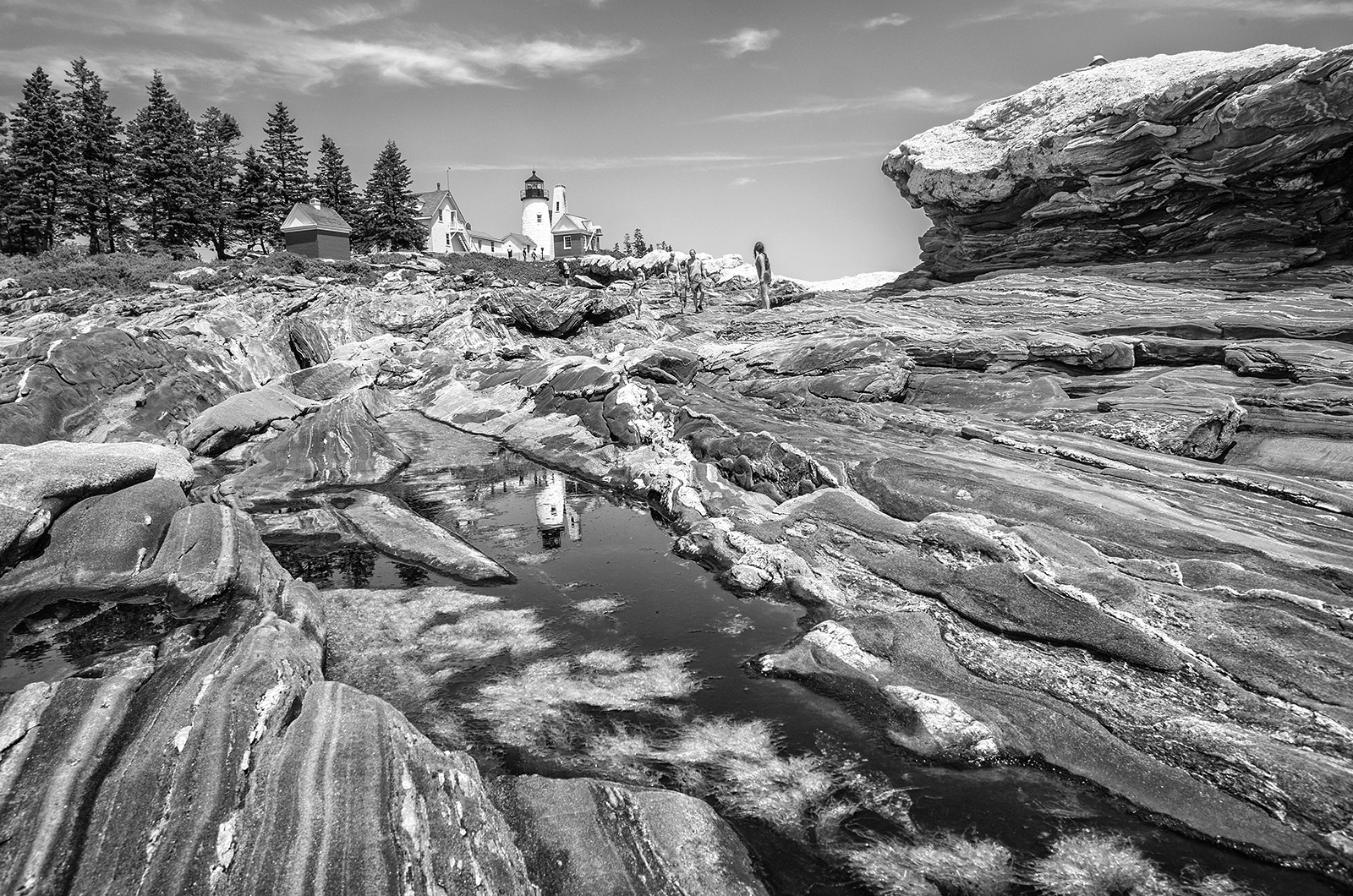 Ossian Pemaquid point.jpg