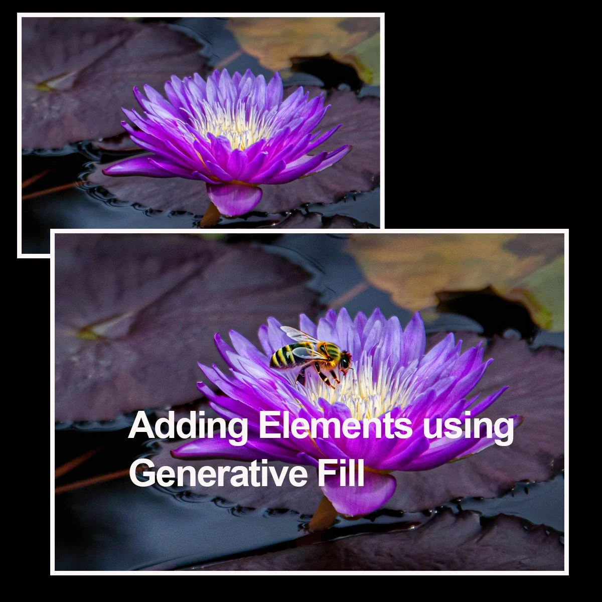 Adding an element copy.jpg