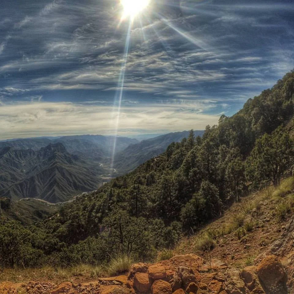 UMCB, Urique, and running with our friends