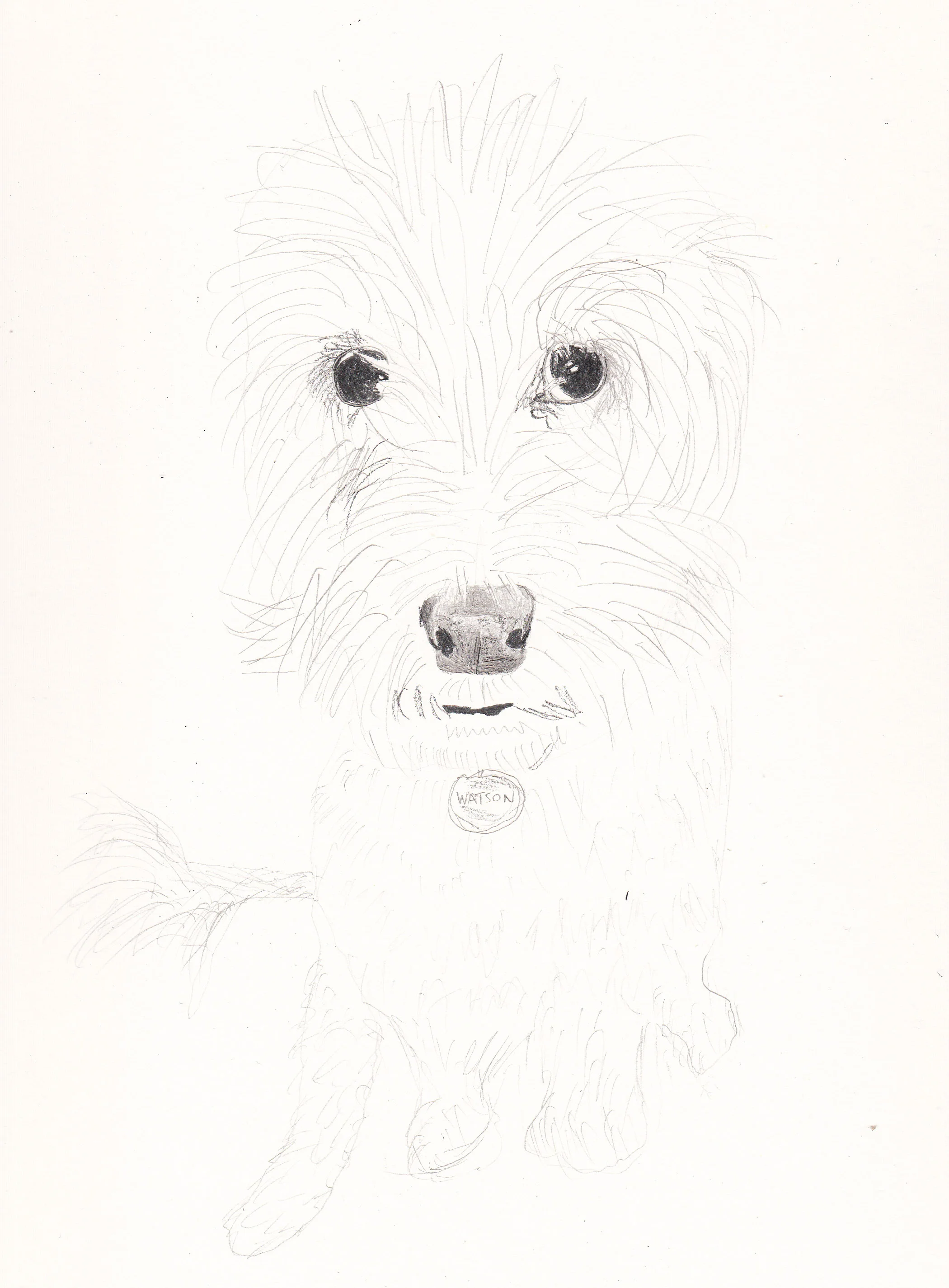 "Watson"
