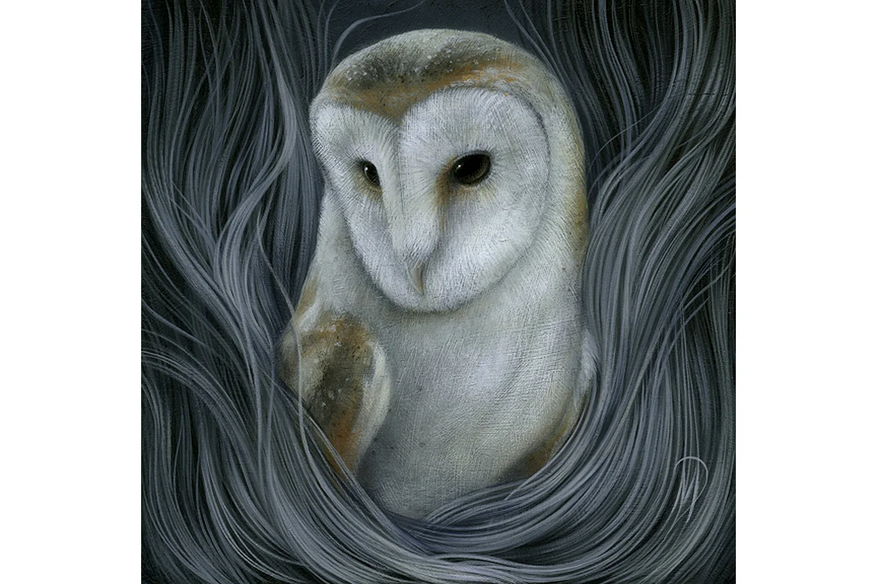 Nocturne