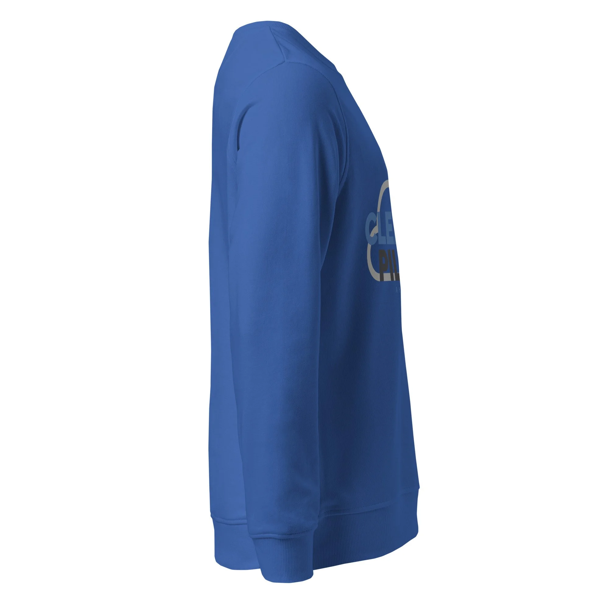 unisex-organic-sweatshirt-royal-blue-right-6a8dba6c3db56.jpg