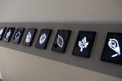 via artforum.com
Ottawa “Preternatural” CANADIAN MUSEUM OF NATURE 240 McLeod Street December 9–March 4
Marie-Jeanne Musiol, The Radiant Forest, 2011, electromagnetic photographic installation, back-lit positives, in two modules of 16 x 96" each. Installation view.
In “Preternatural,” curator Celina Jeffery addresses ways that contemporary art constructs epistemologies beyond the scientific; in so doing, she offers compelling counterexamples to the disconnect between spirituality and contemporary art that art historian James Elkins has observed. Fittingly for a show about unconventional perceptions, this exhibition is framed within three idiosyncratic spaces: a deconsecrated Catholic church, a gallery in a strip mall, and a natural history museum.
A performance installation at St. Brigid’s Centre for the Arts brings to mind spirit photography— Adrian Göllner conjured fleeting spectral emanations in Handel’s Cloud, 2011, an installation-performance (mounted in December) in which fog rushed from gothic vaulting. Equally elusive, the Patrick Mikhail Gallery’s white box space is interrupted only by the pressed lines of Shin il Kim’s Invisible Masterpiece, 2011. Embossed figure-outlines on colorless paper are animated in a three-channel video that shows these barely perceptible traces becoming even more ghostly as immaterial projections.
At the Canadian Museum of Nature, the artists focus on the sensuality and the sense of wonder in science. Sarah Walko’s installation It is very least what one ever sees, 2011, exists where scientific organization intersects with devotional practice, poetry, and romance. Wall-mounted test tubes become reliquaries for colorful collections of found objects, including bones, feathers, and text, all arranged according to Walko’s personal taxonomy. Live fish and plants in a central biosphere counter the dead, arranged objects. Through Nox Borealis, 2011, Andrew Wright rewrites the natural history diorama in “full-scale” photographic prints mounted on concave supports. His inverted arctic images purposefully disorient viewers; we aren’t exactly sure whether we are looking at minimal sculpture, snow, a heavenly cloudscape, or the lunar surface. In this confusion, he evokes the awe and terror of the arctic night—an environment without landmarks. Marie-Jeanne Musiol, a true believer in human spiritual potential, shows works that are far subtler but no less sublime. She displays electrophotographic light images of leaves—objective evidence of auratic energies discussed in Buddhism, Theosophy, and Scientology. In The Radiant Forest, 2011, she presents small transparencies backlit by a mysterious, dim bioluminescence that “develops” on viewers’ retinas—a metaphoric and demonstrative energy transference. Her works best manifest the exhibition’s theme of extraordinary natural experience.
This exhibition is also on view at St. Brigid’s Centre for the Arts, 302 St. Patrick Street, until February 17.
— William Ganis