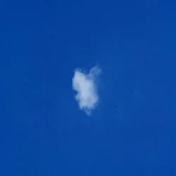 Transient