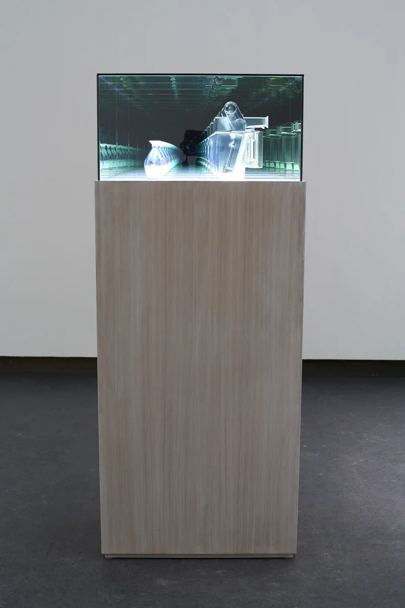 10AEWCameraConsidersWedgwood.JPG