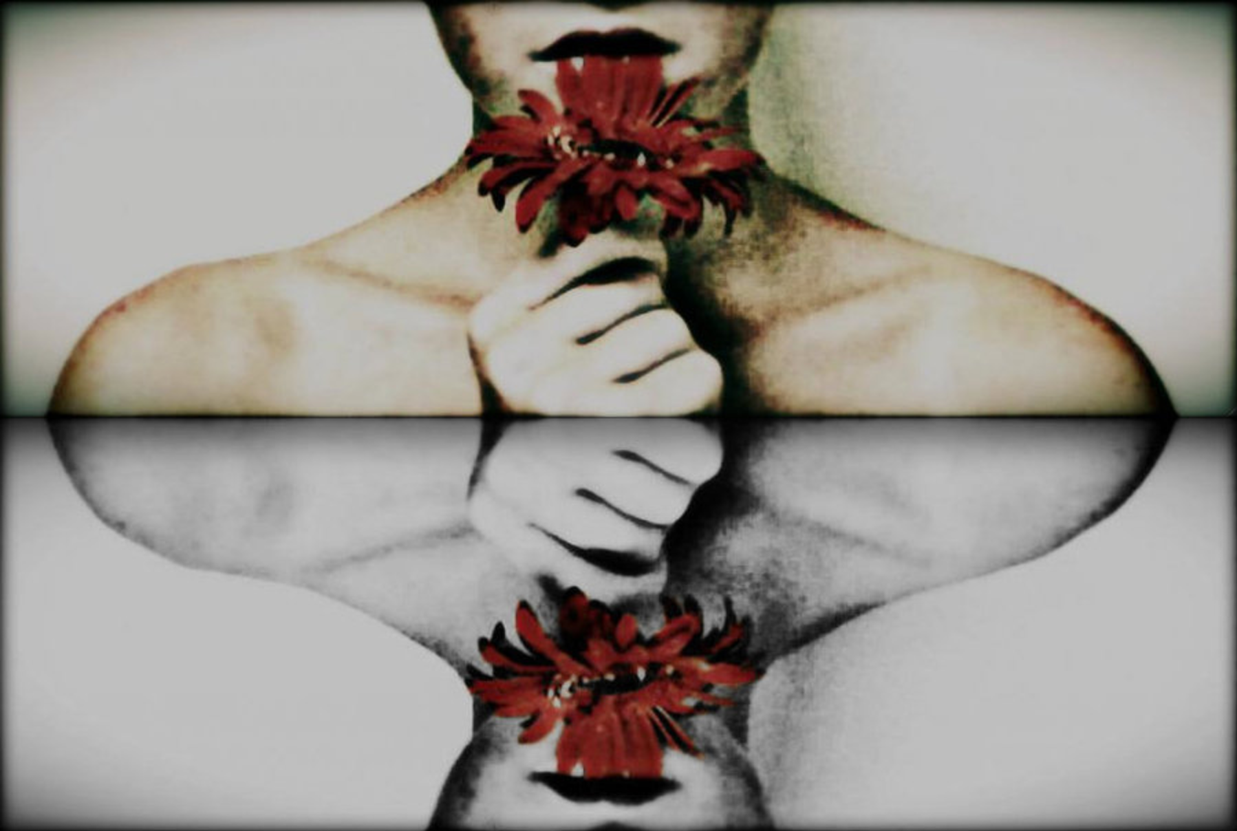 Screen Shot 2018-06-03 at 5.40.04 PM.png