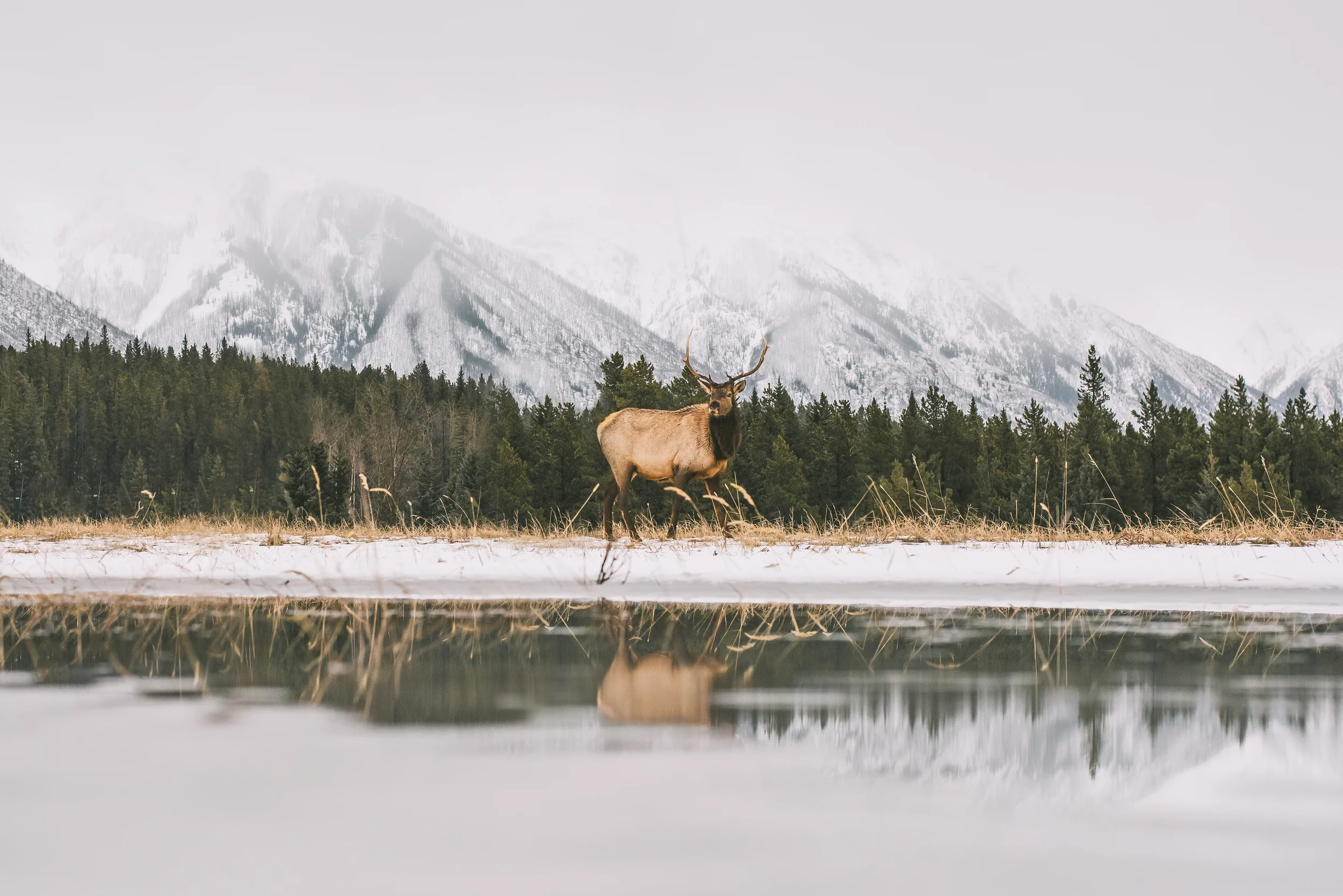 Morgan Phillips Photography--3.jpg