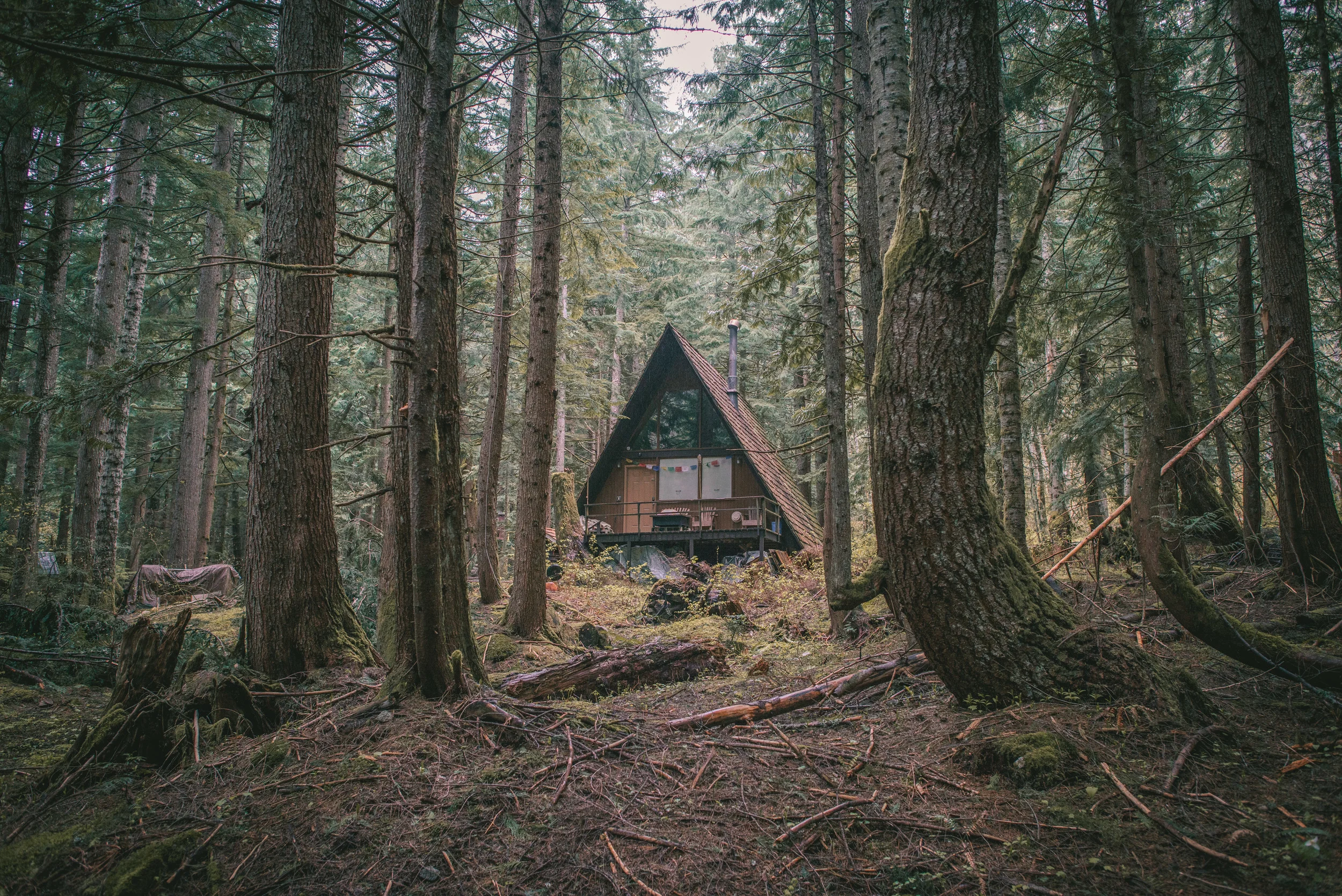 Morgan Phillips Photography-0494.jpg
